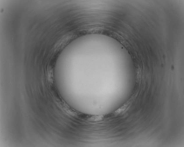 X0000074020138200608211118