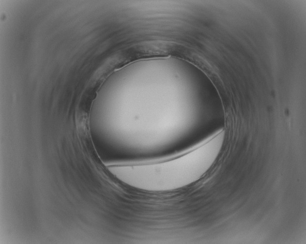 X0000074020141200608211118