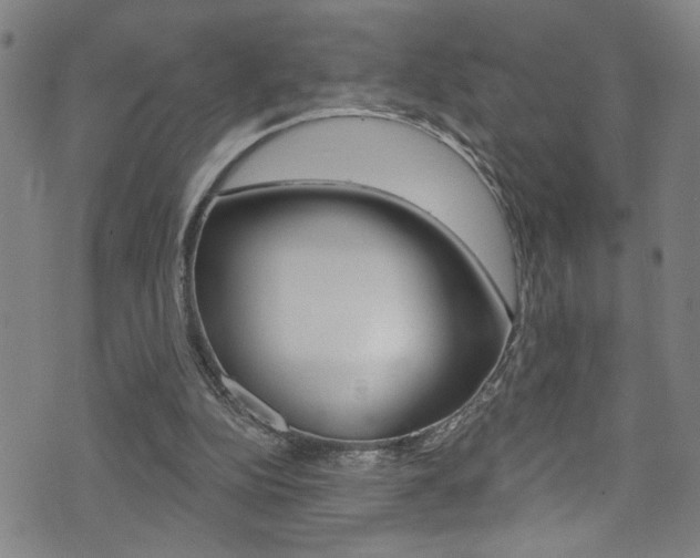 X0000074020152200608211117