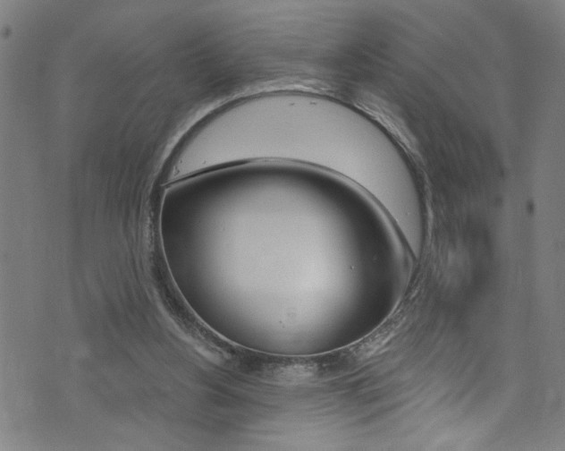X0000074020156200608211117