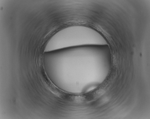 X0000074020165200608211117