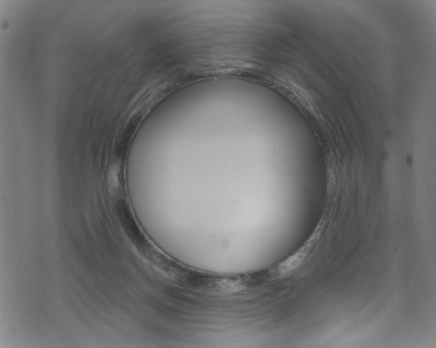 X0000074020166200608211118