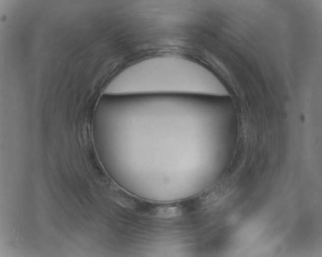 X0000074020169200608211118