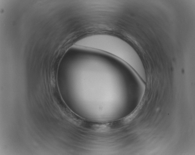 X0000074020170200608211118