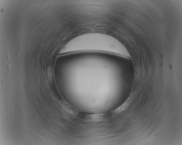 X0000074020184200608211118
