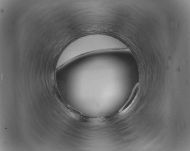 X0000074020192200608211118