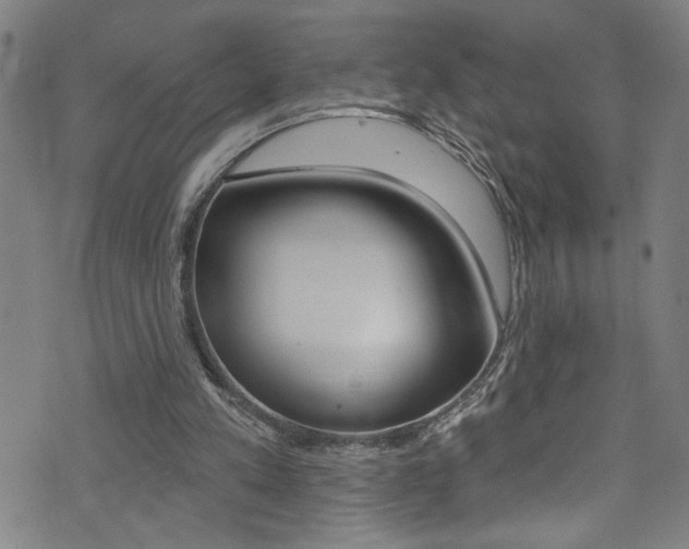 X0000074020197200608211117