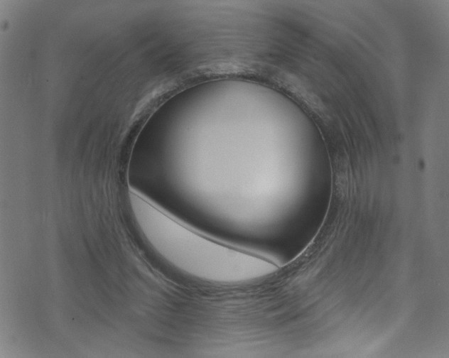 X0000074020207200608211117