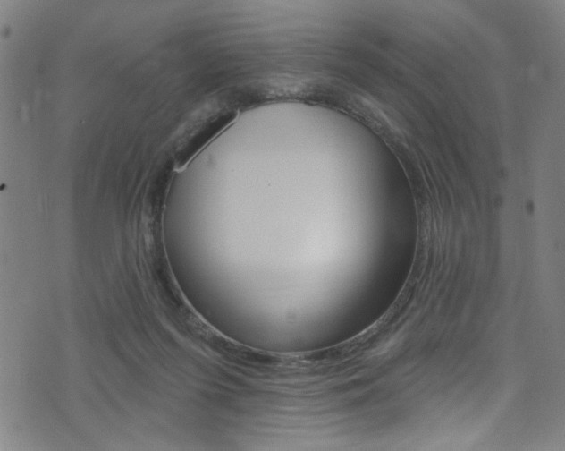 X0000074020215200608211117