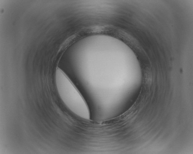 X0000074020216200608211117