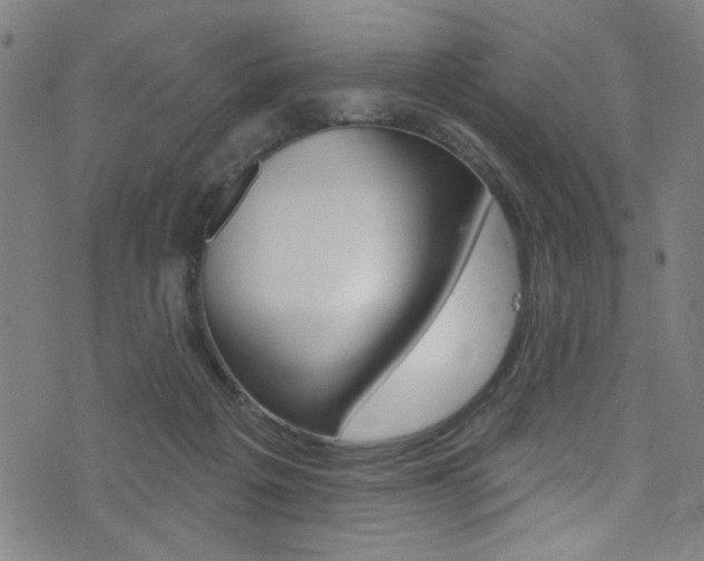 X0000074020217200608211117