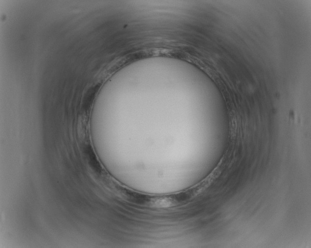 X0000074020218200608211117