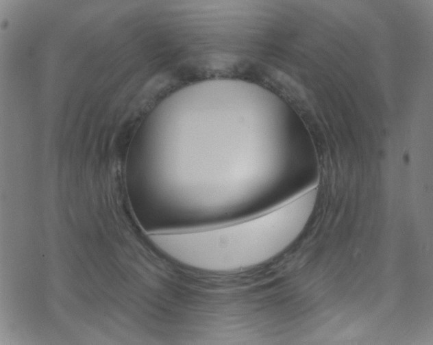 X0000074020225200608211117