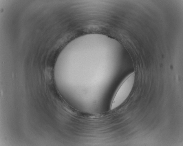 X0000074020232200608211117