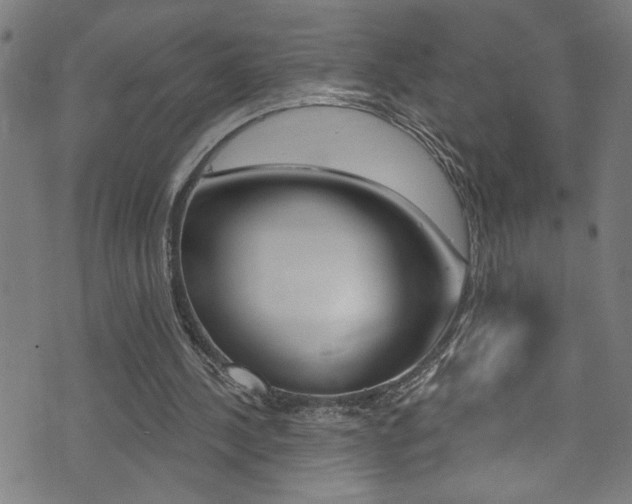 X0000074020244200608211116