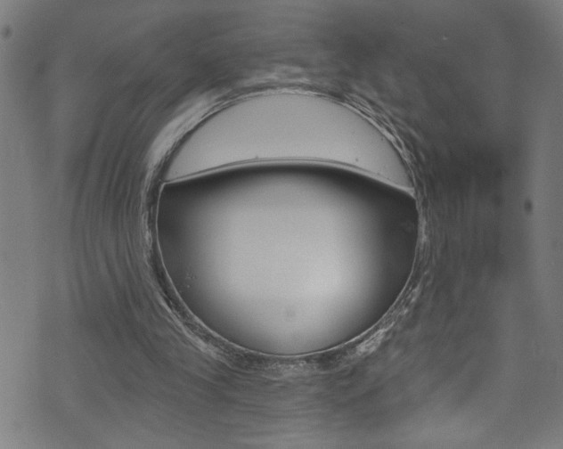X0000074020245200608211116