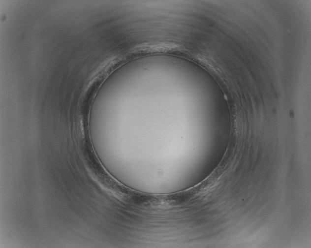 X0000074020254200608211116