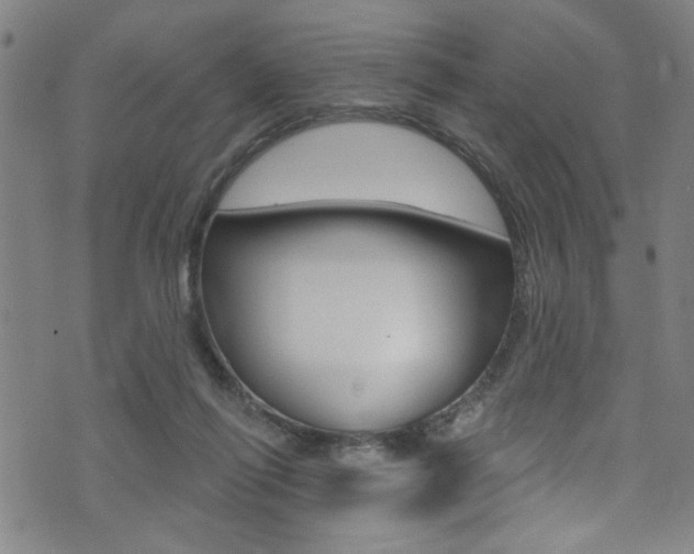 X0000074020262200608211116