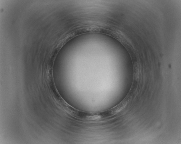 X0000074020266200608211116