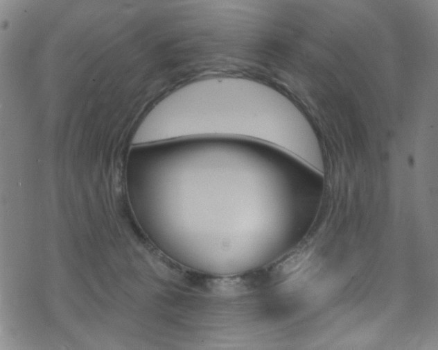 X0000074020273200608211116
