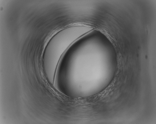 X0000074020289200608211116