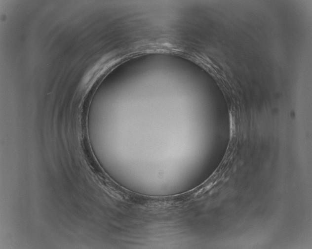 X0000074020291200608211116
