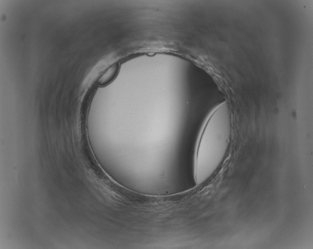 X0000074020296200608211115