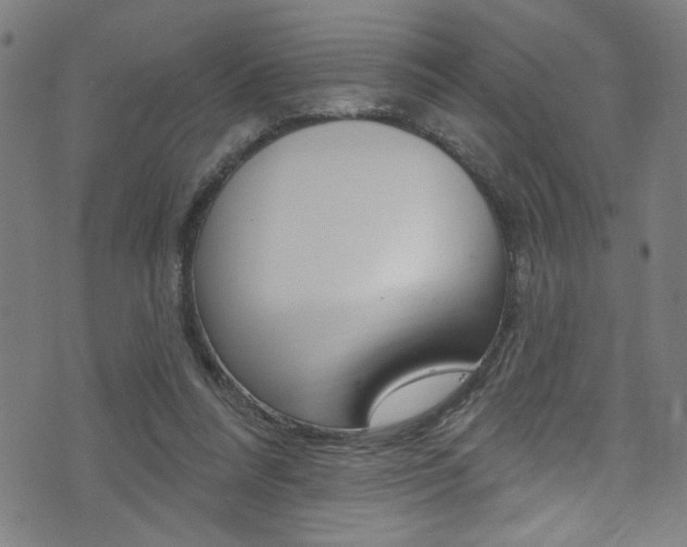 X0000074020304200608211115