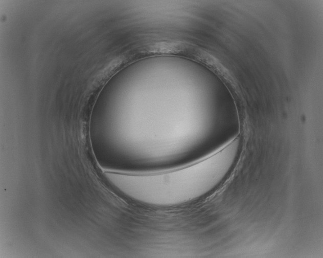 X0000074020305200608211115