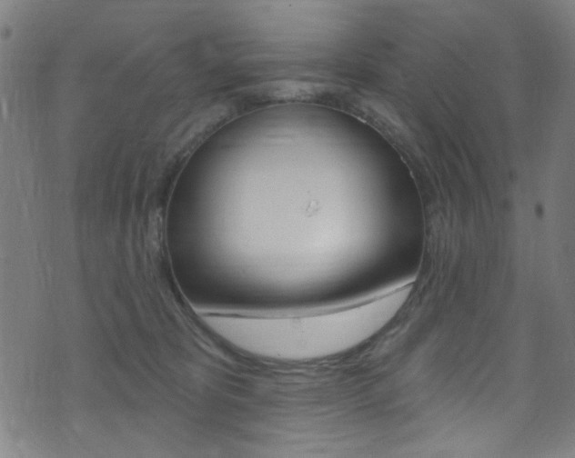 X0000074020325200608211115