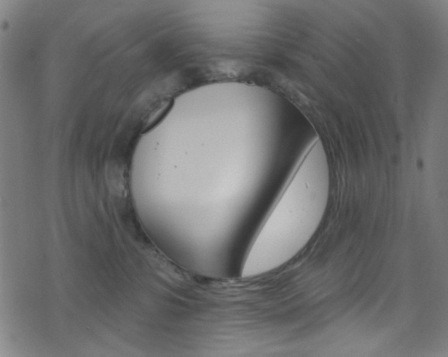 X0000074020331200608211115