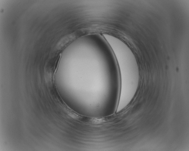 X0000074020333200608211115