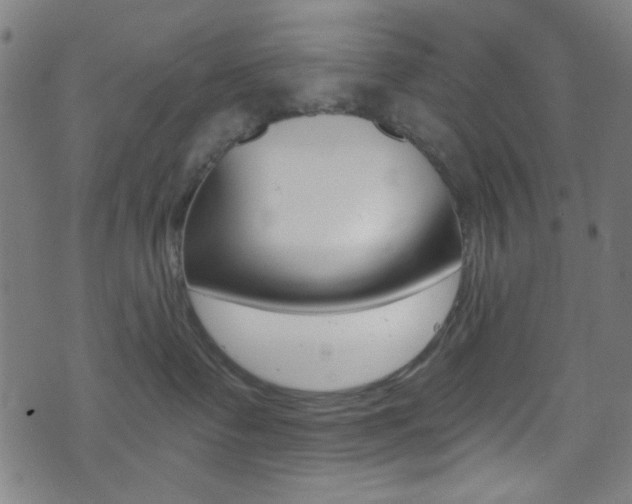 X0000074020335200608211115