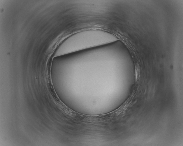 X0000074020339200608211114