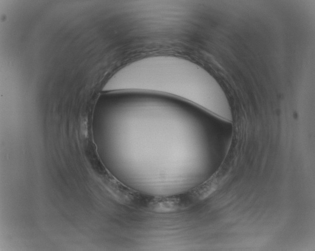 X0000074020368200608211114