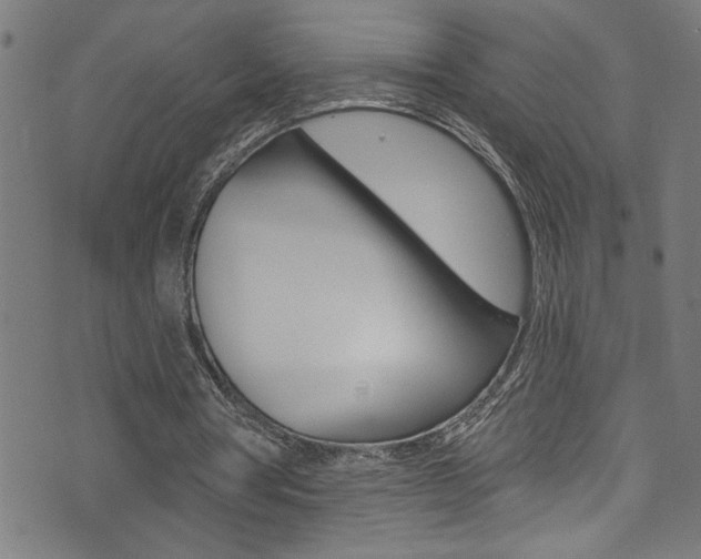 X0000074020386200608211114