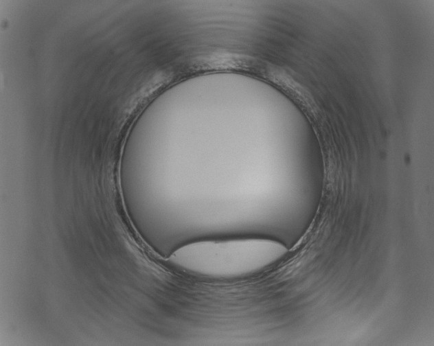 X0000074020394200608211114