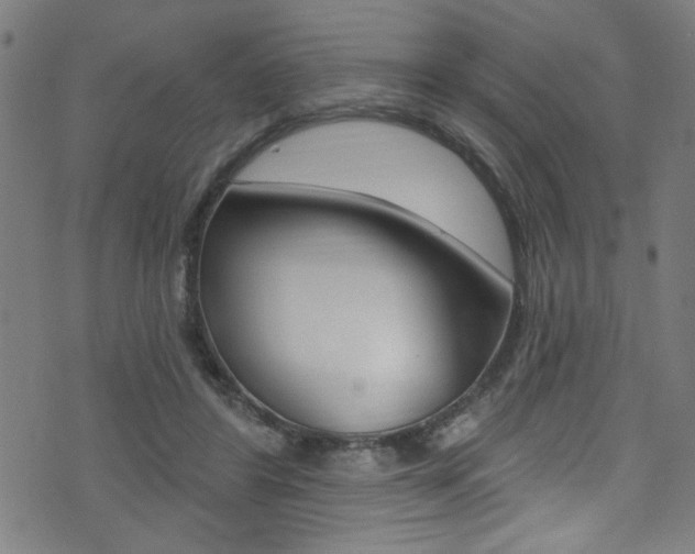 X0000074020404200608211114