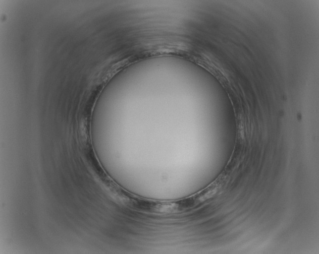 X0000074020410200608211114