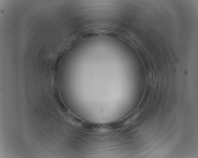 X0000074020412200608211113