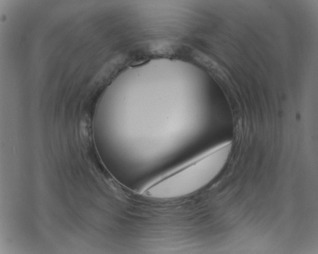 X0000074020424200608211113