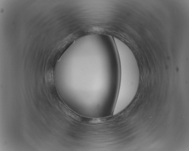 X0000074020425200608211113