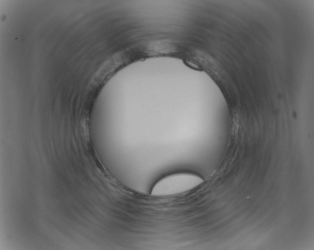 X0000074020426200608211113