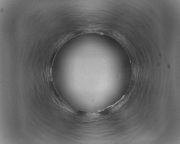 X0000074020429200608211113