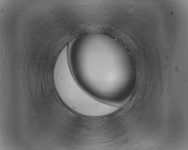 X0000074020432200608211113