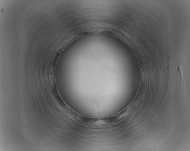 X0000074020460200608211113