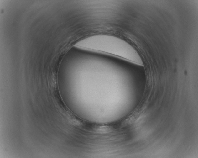 X0000074020467200608211113