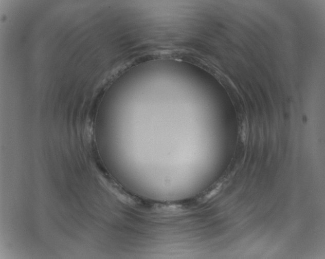 X0000074020476200608211113
