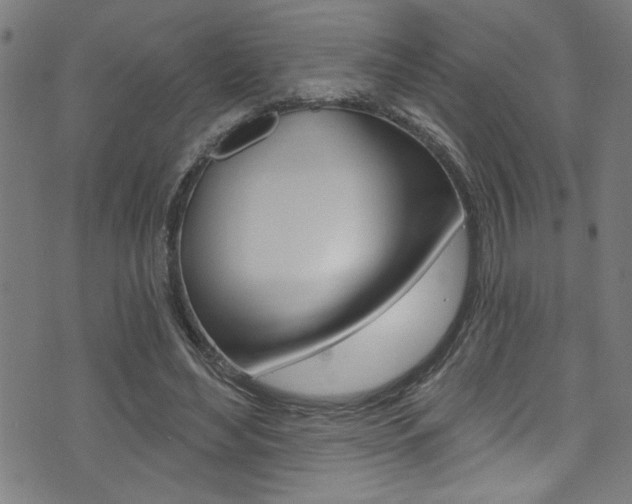 X0000074020492200608211112