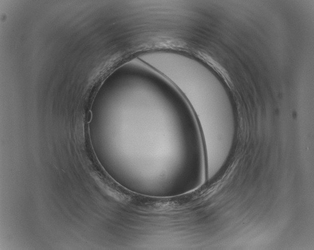 X0000074020493200608211112